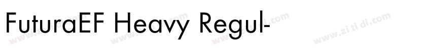 FuturaEF Heavy Regul字体转换